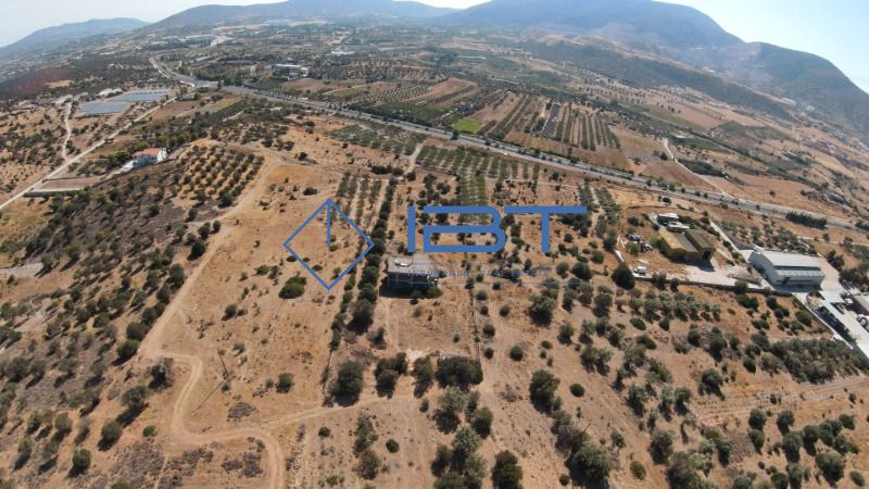 (For Sale) Land Land within city plan || Markopoulo / Center - 740sq 300000€